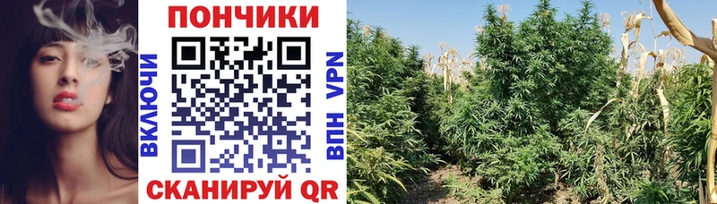 Цена Мглин Alpha PVP МЕФ ГАШ АМФЕТАМИН МАРИХУАНА