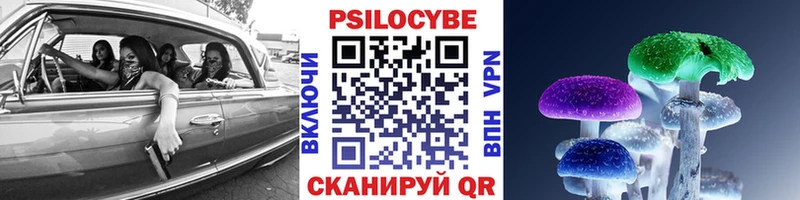 Псилоцибиновые грибы Magic Shrooms  сколько стоит  Мглин 